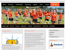 Tablet Screenshot of hockeysneek.nl